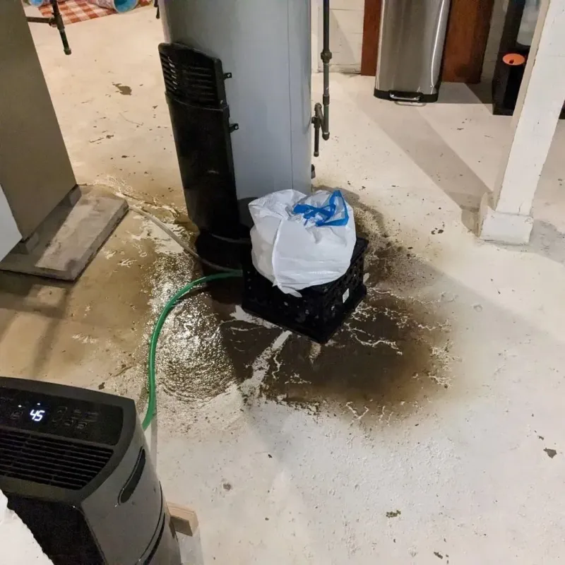 Sewage Backup Cleanup Service in Richland County, SC